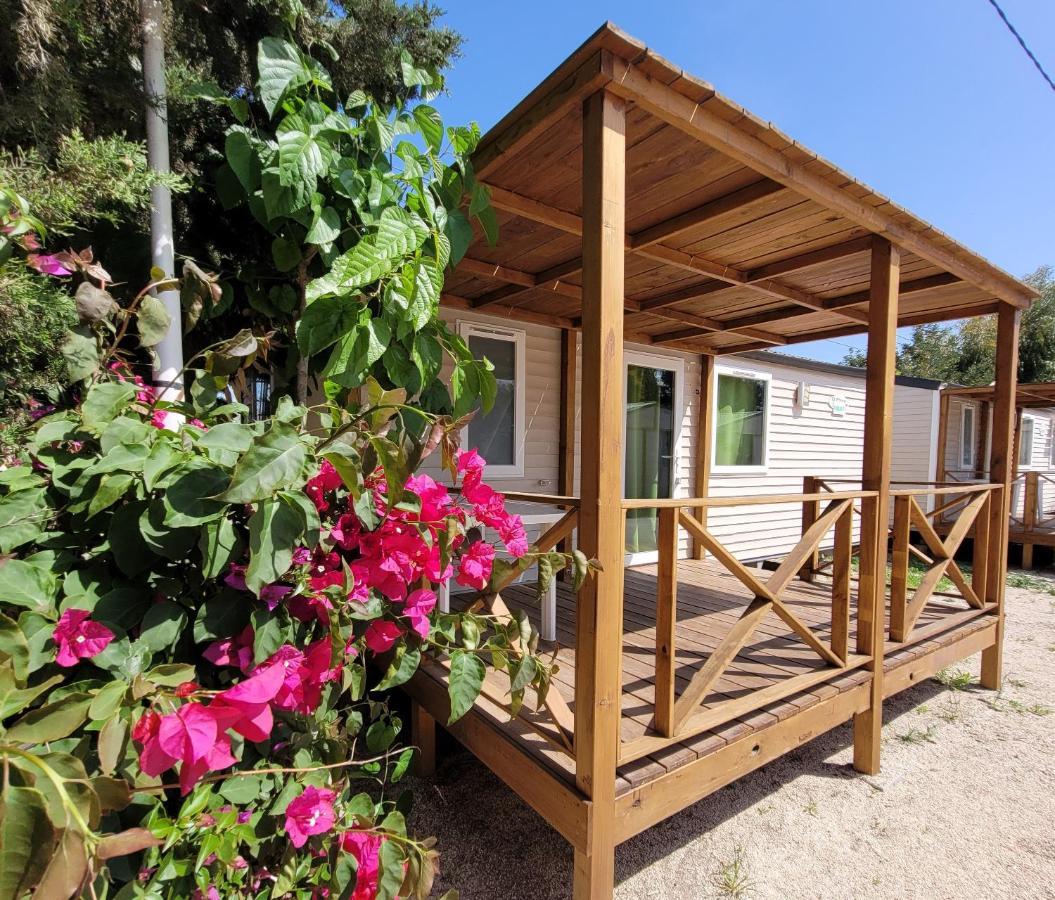 Camping Costa Blanca El Campello Extérieur photo